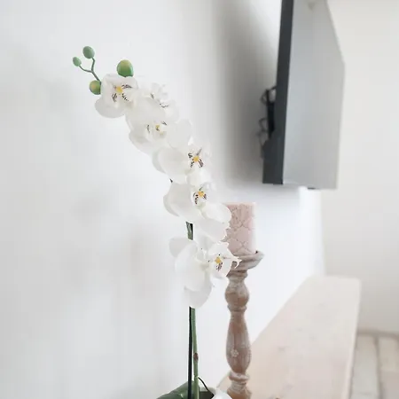 Floresita Apartamento