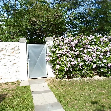 Floresita Zadar