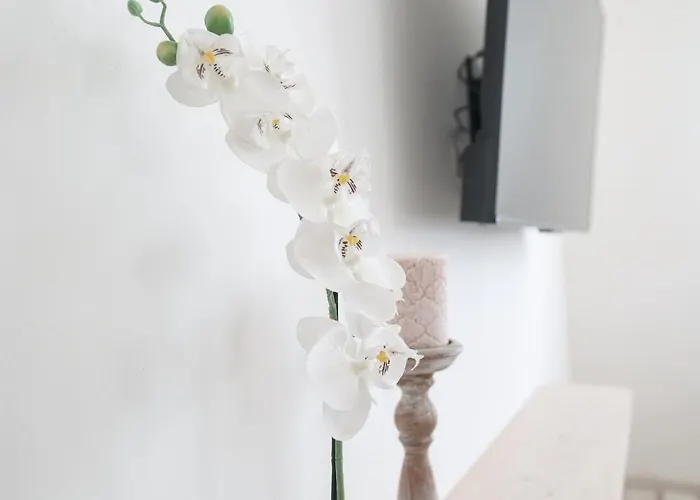 Floresita Apartment