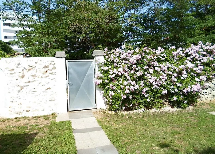Floresita Zadar